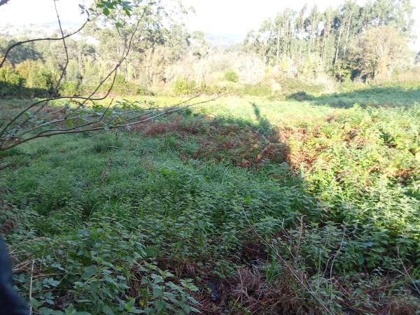 Terreno en calle Dp-0813 s/n