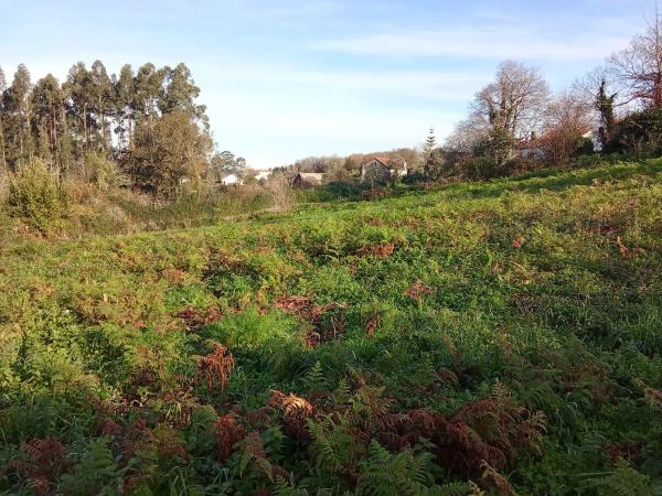 Terreno en calle Dp-0813 s/n