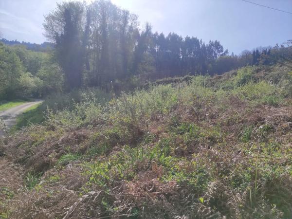 Terreno en Ponte Lago s/n sn