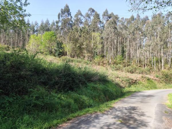 Terreno en Ponte Lago s/n sn