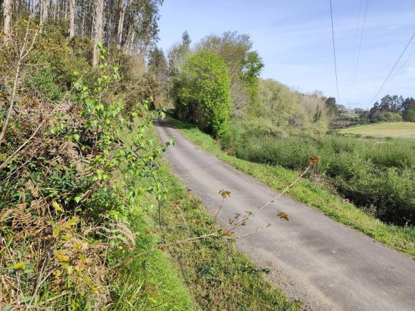 Terreno en Ponte Lago s/n sn