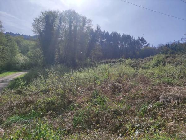 Terreno en Ponte Lago s/n sn