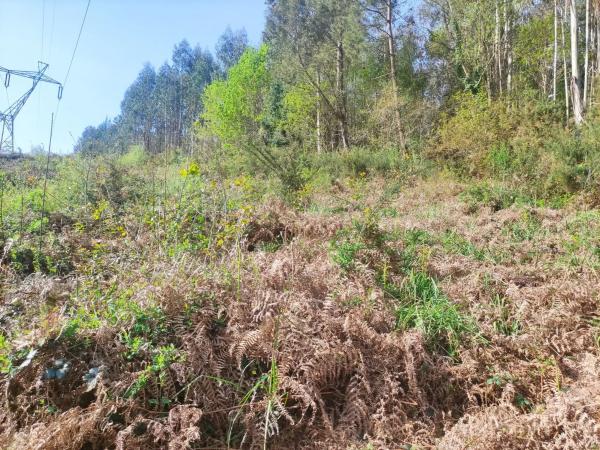 Terreno en Ponte Lago s/n sn