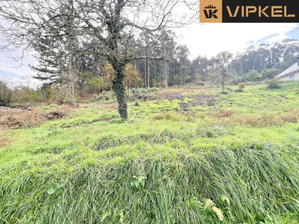 Terreno en calle Tierno Galván