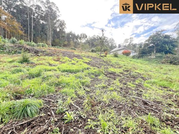 Terreno en calle Tierno Galván