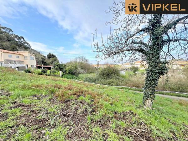 Terreno en calle Tierno Galván