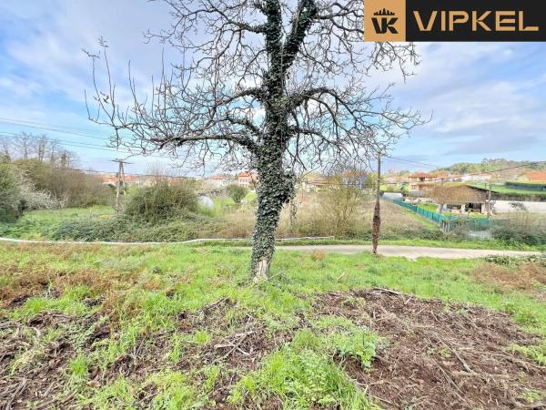 Terreno en calle Tierno Galván