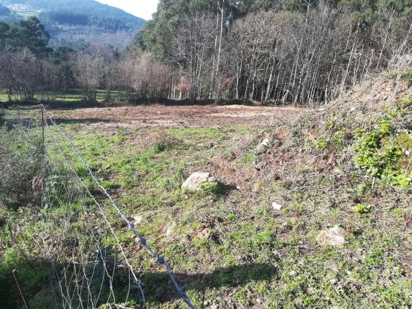 Terreno en calle esfarrapa, 2