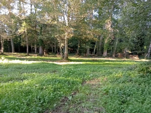 Terreno en calle Anceis, 29