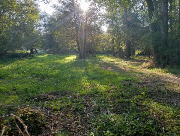 Terreno en calle Anceis, 29