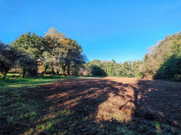 Terreno en Osedo, 69