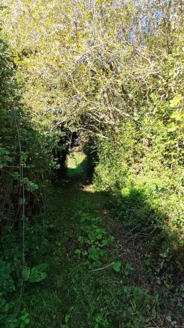 Terreno en Osedo, 69