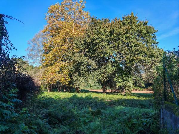 Terreno en Osedo, 69