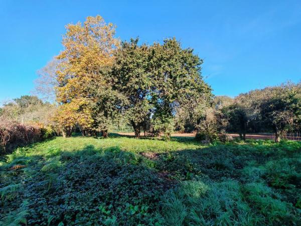 Terreno en Osedo, 69