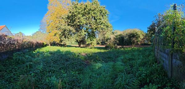 Terreno en Osedo, 69