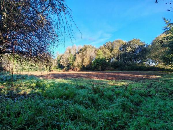 Terreno en Osedo, 69