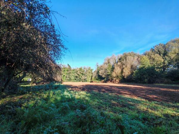 Terreno en Osedo, 69