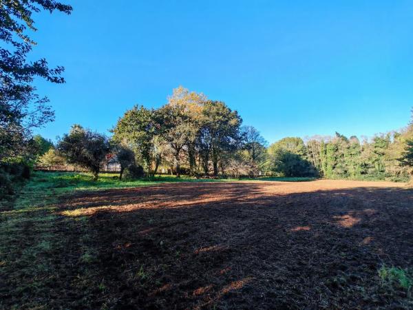 Terreno en Osedo, 69