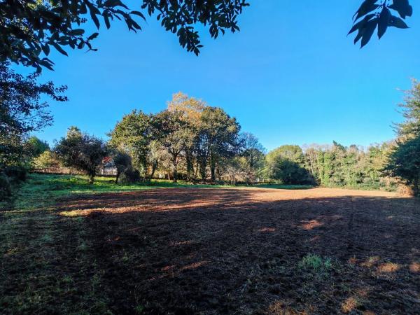 Terreno en Osedo, 69