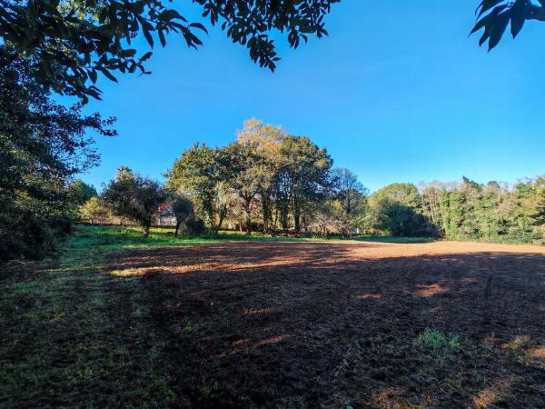 Terreno en Osedo, 69