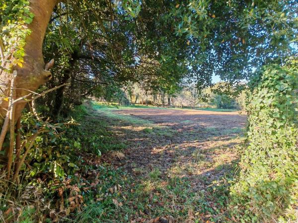 Terreno en Osedo, 69