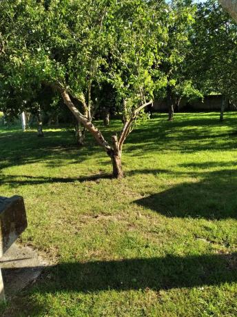 Terreno en a Ferrala, 47