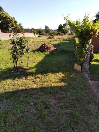 Terreno en a Ferrala, 47