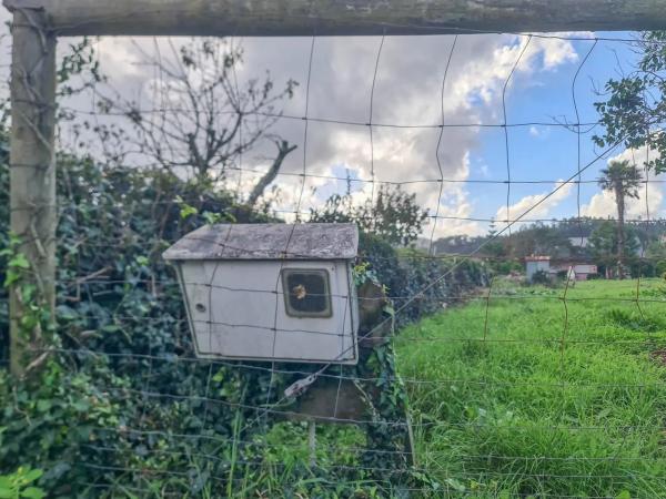 Terreno en Tarroeira