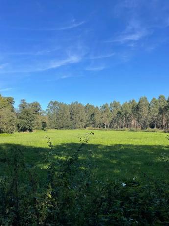Terreno en Barciela s/n Polígono