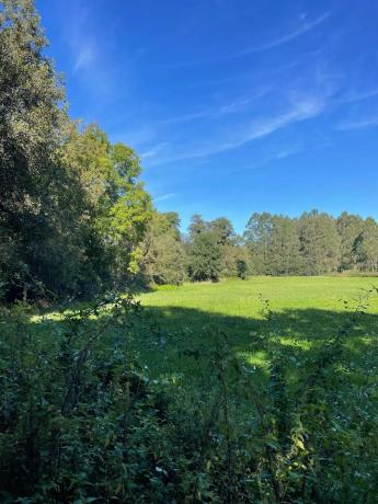 Terreno en Barciela s/n Polígono