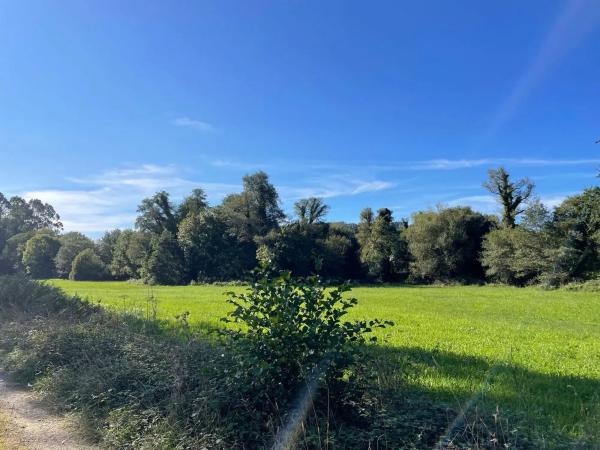 Terreno en Barciela s/n Polígono