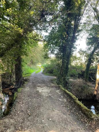 Terreno en Barciela s/n Polígono