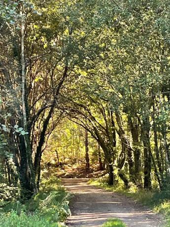 Terreno en Barciela s/n Polígono