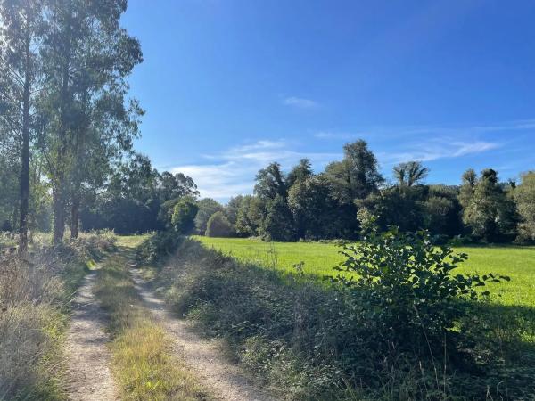 Terreno en Barciela s/n Polígono