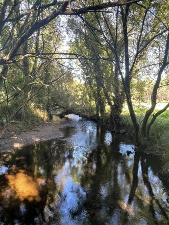 Terreno en Barciela s/n Polígono
