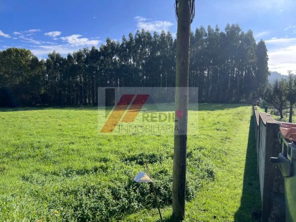 Terreno en calle Borreiros