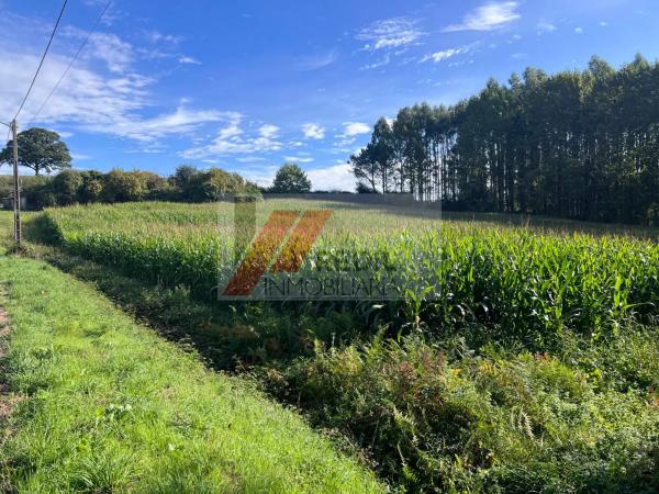 Terreno en calle Borreiros