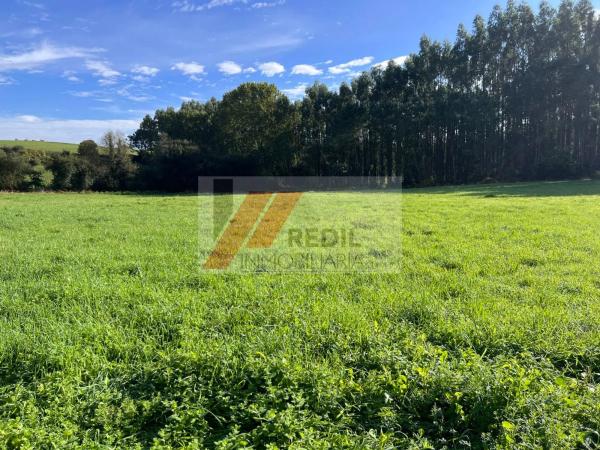 Terreno en calle Borreiros