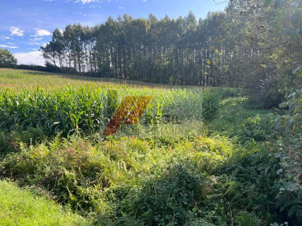 Terreno en calle Borreiros