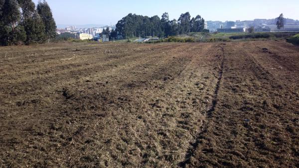 Terreno en camino do Pouporon, 29