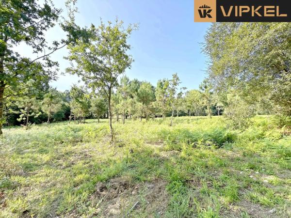 Terreno en Lugar Pazos