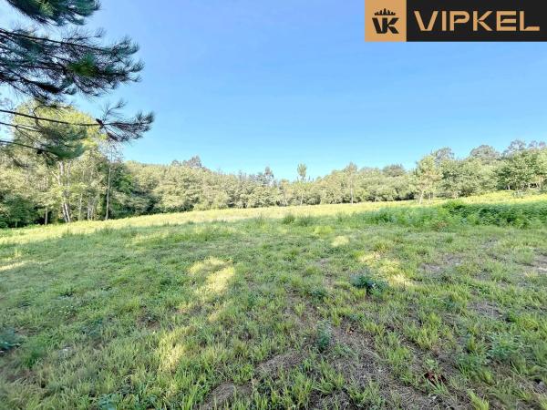 Terreno en Lugar Pazos