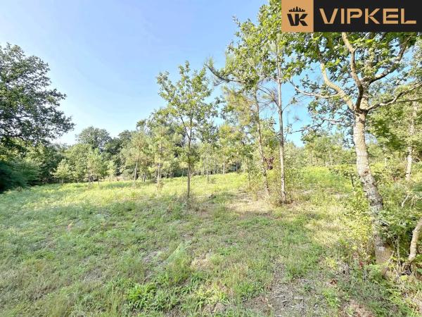 Terreno en Lugar Pazos