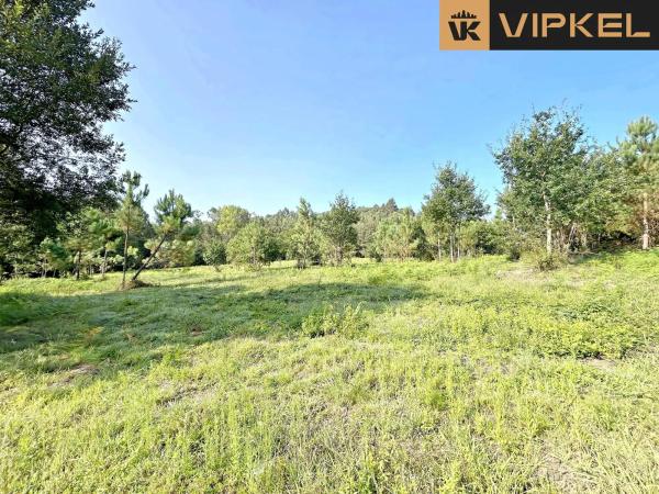 Terreno en Lugar Pazos