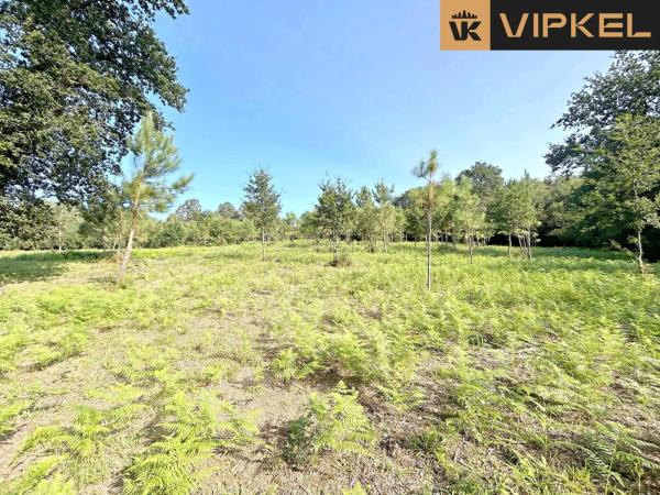 Terreno en Lugar Pazos