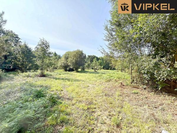 Terreno en Lugar Pazos