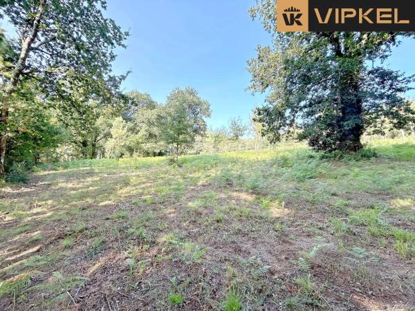 Terreno en Lugar Pazos