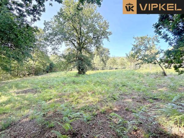 Terreno en Lugar Pazos