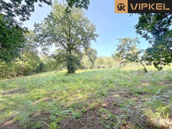 Terreno en Lugar Pazos