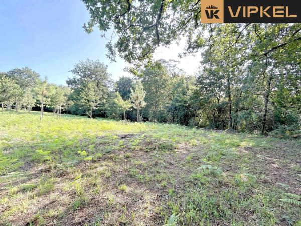 Terreno en Lugar Pazos